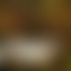 Book Review: Orthodoxy