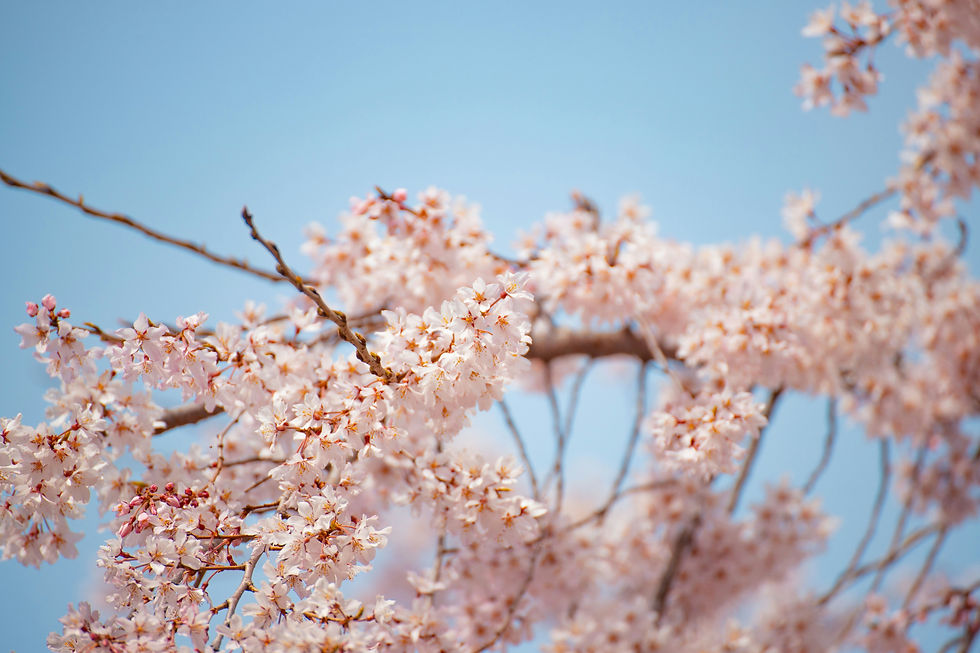 Image de Ryoo Geon Uk