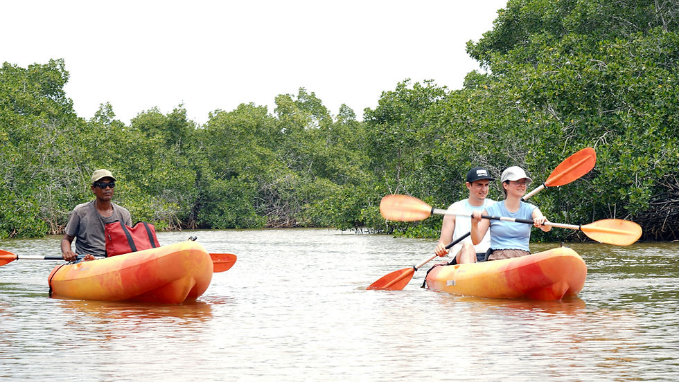 KAYAK