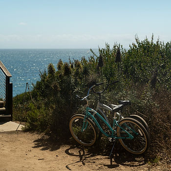 Two beach cruisers parked against the sand dune shrubs by the beach with the ocean in the background.
