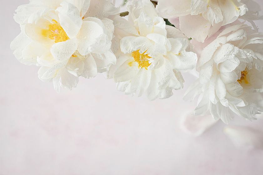 Image by micheile dot com