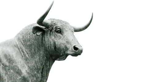 Finding Balance: Self-Care Tips for Hardworking Ox bazi horoscope
