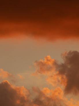 Image by Allec Gomes