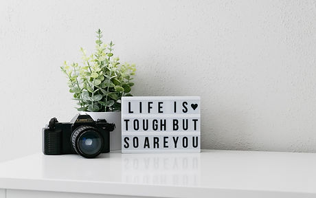Image by Debby Hudson