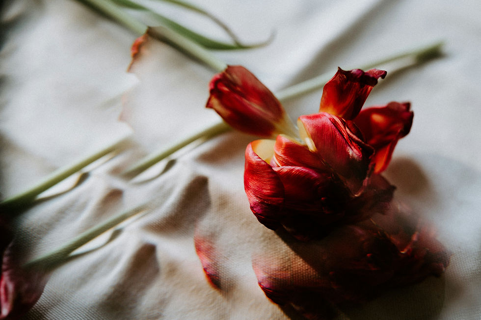 How to Distinguish Acceptance from Complacency in Your Daily Choices