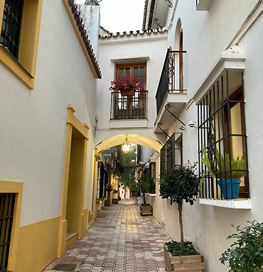 Image by Javier Vargas