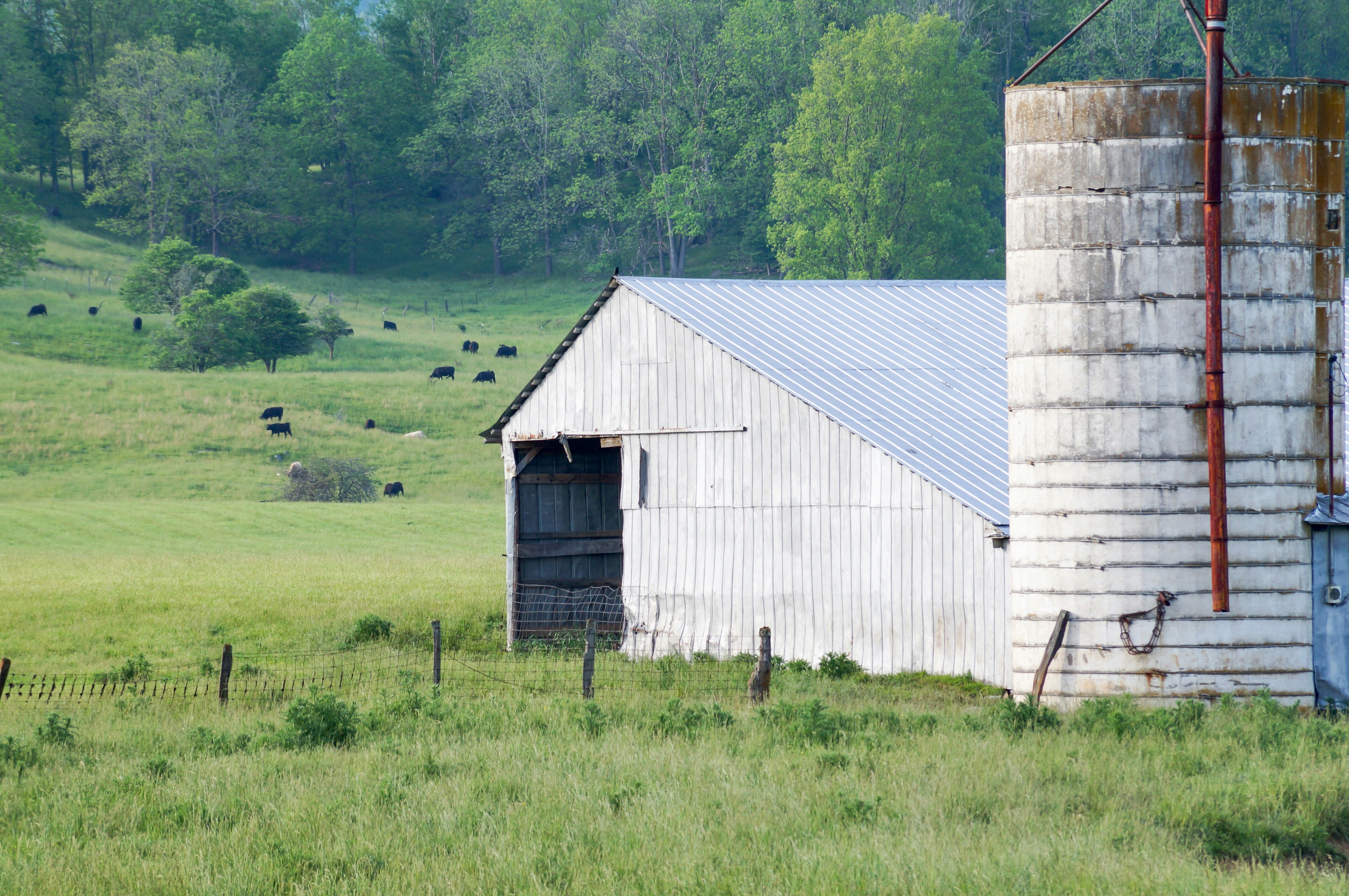 Del sueño americano al desencanto: las cicatrices del Estados Unidos rural