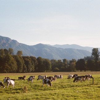 clatsop county land