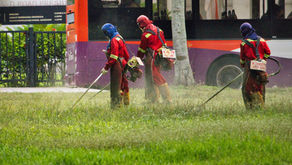 Pestisida Nabati: Pengertian dan Cara Membuatnya