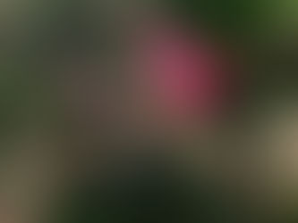 Soal SAS ASAS PSAS IPA SMP Kelas 7 Semester 1 Tahun 2025 