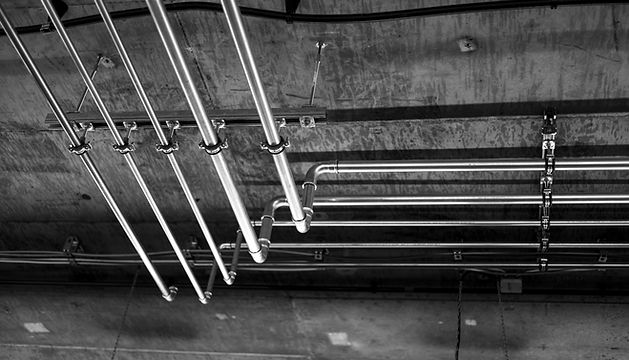Image by Dieter K