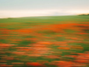 A dreamscape
