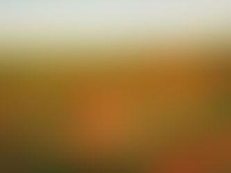 A dreamscape