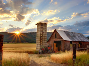 Rural Resilience in Response to COVID-19