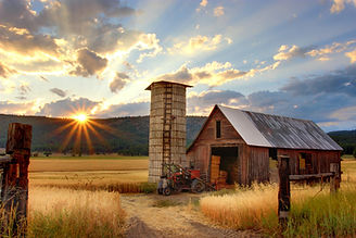 Image de Timothy Eberly