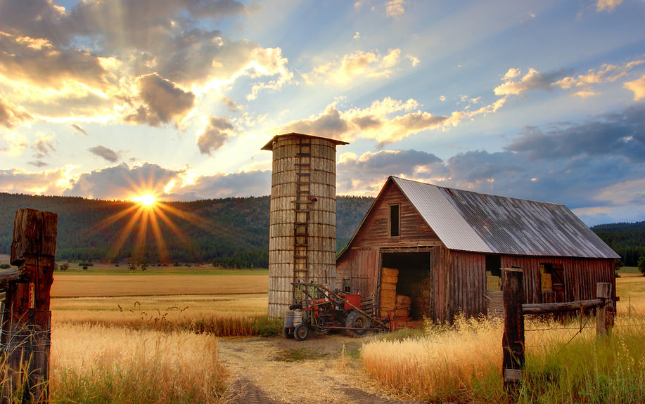 Image by Timothy Eberly