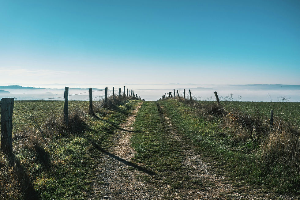 Image by Ruben Hanssen