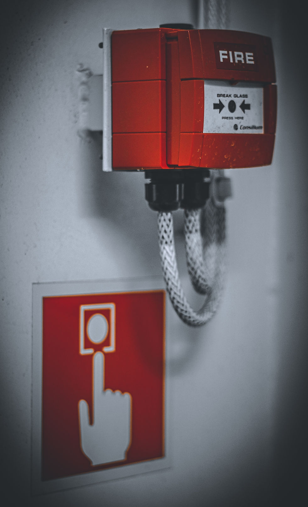 domestic fire alarm