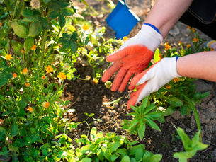 The Chemistry of Hunger: Why Fertilizer Matters More Than Most People Realise