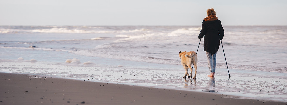 Image by Joppe Spaa