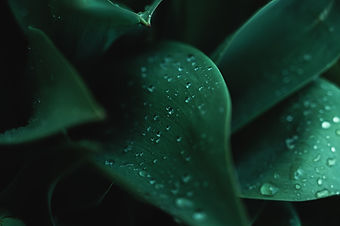 Image by Ryunosuke Kikuno