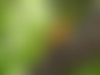 マタイによる福音書11章28節