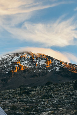 Image by Yoad Shejtman