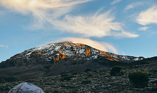 kilimanjaro