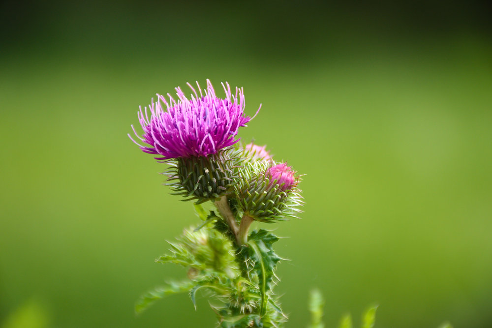 🌟🚐 The NC500 + Skye 12-Day Itinerary (Sept 2025) 🏴✨