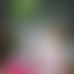 K-Beauty, the new standard of beauty