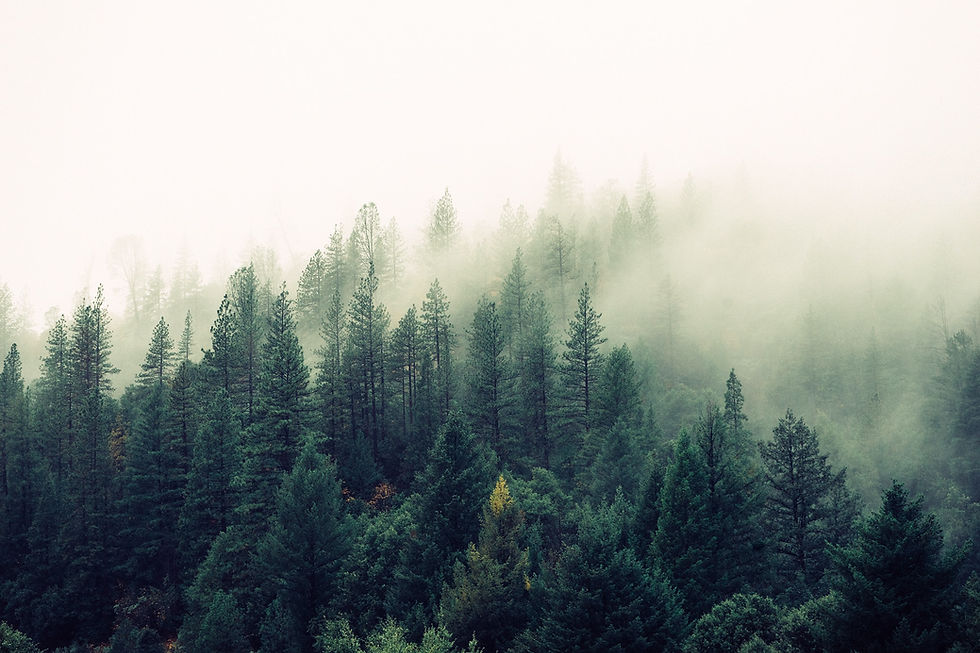 early morning calm on the mountains
