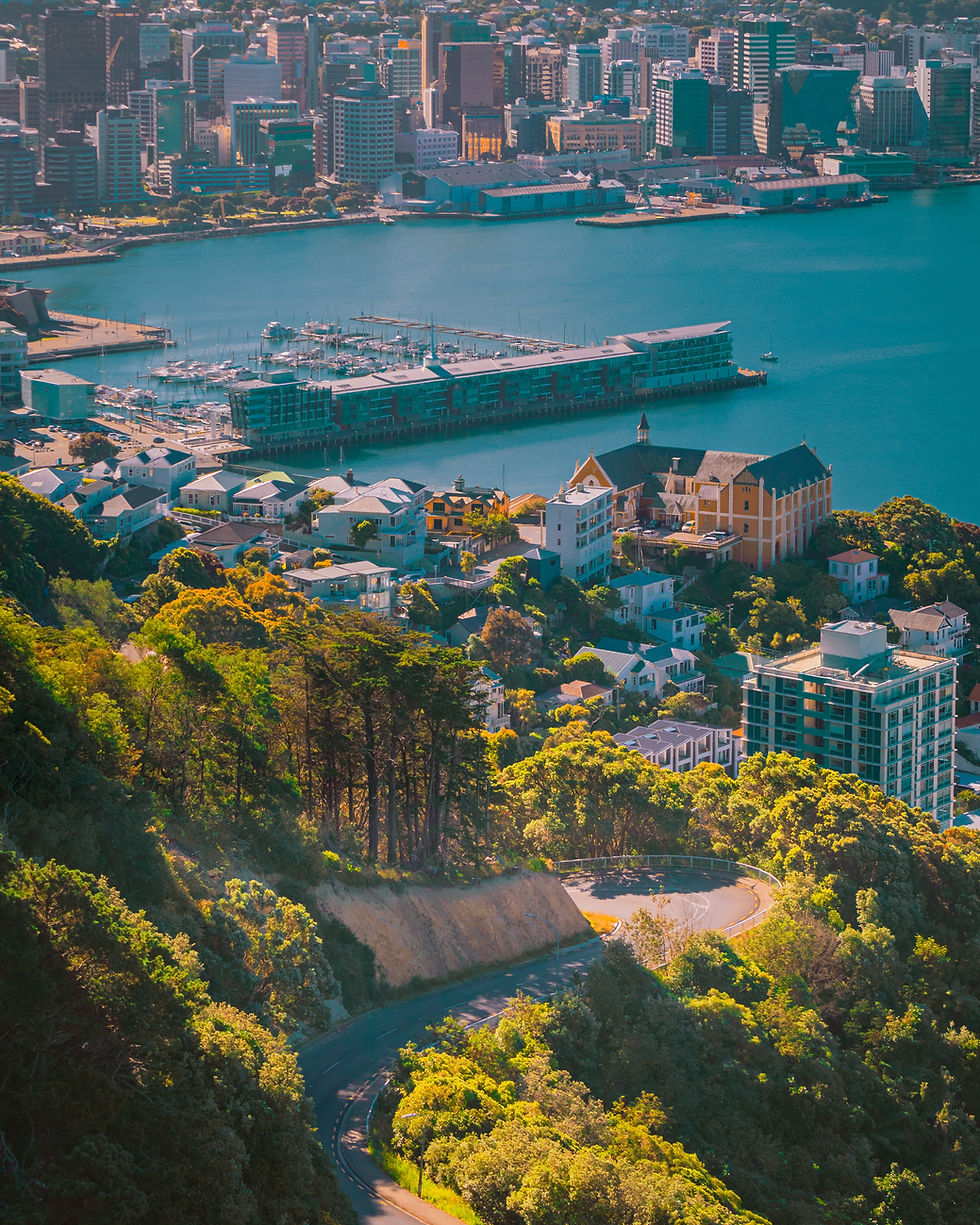 Wellington doesn’t need a rescue story. It needs the real one.