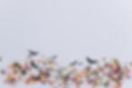 Image de Rinck Content Studio
