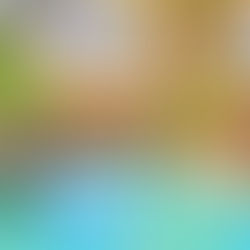 Curb Appeal That Survives the Desert Climate