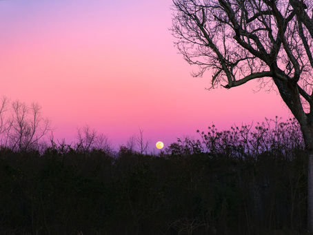 Full Moon in Cancer: Nurture, Empower, Emotionally Connect, Find Your Joy