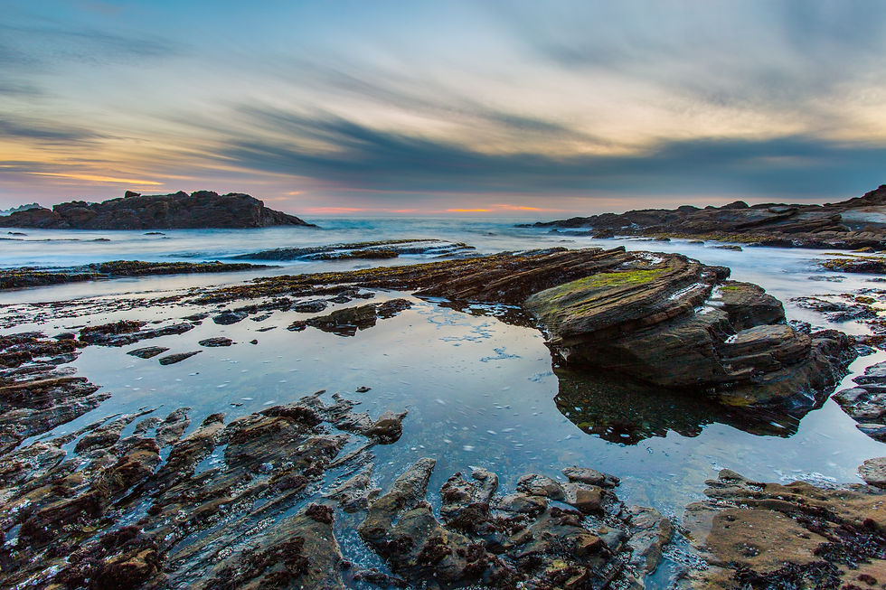 Image by James Ting