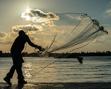 Image by Richard Sagredo