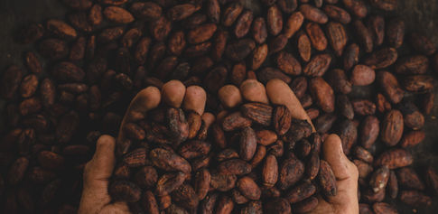 Balade gourmande dans le Jura : visite de marché local, déjeuner typique au restaurant et dégustation en chocolaterie artisanale.