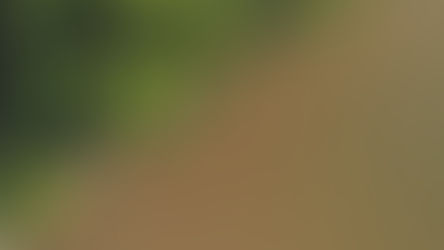 Climate impacts in Zimbabwe 