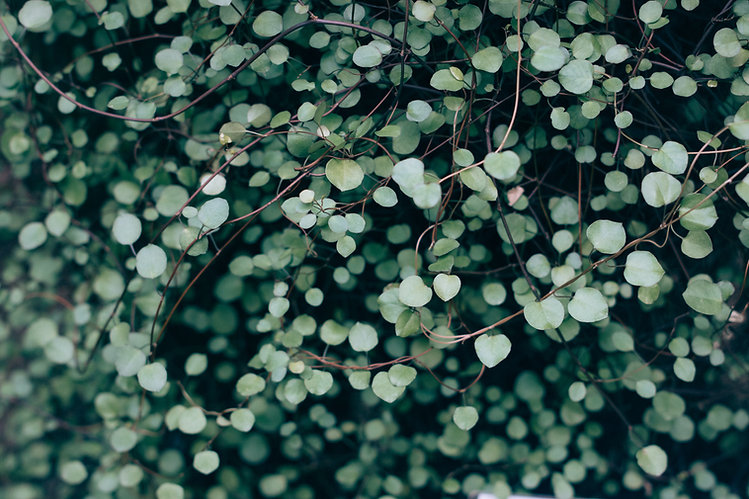 Image by Vadim L