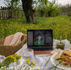 Laptop showing anime, surrounded by a picnic setup with croissants, flowers, and drinks on a white blanket under a tree in a field.