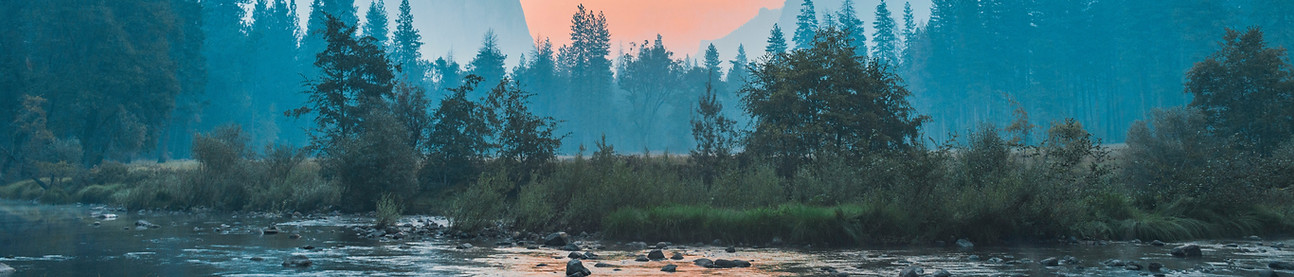 Image by Bailey Zindel