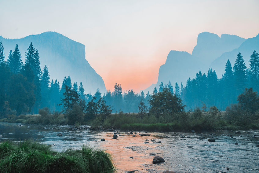 Image by Bailey Zindel