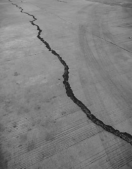 Image by Shefali Lincoln