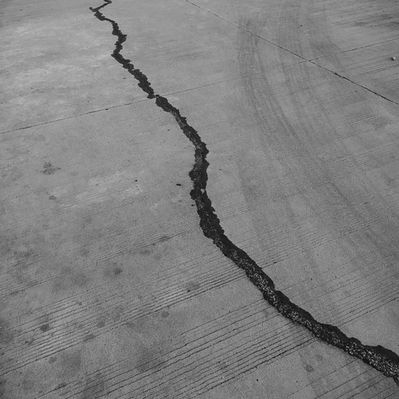 Flashlight in a Holster - Anna Wang