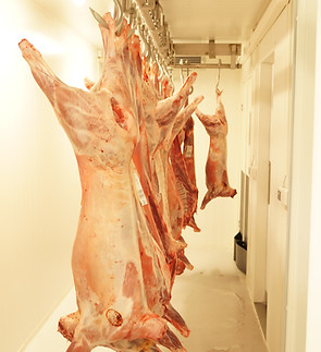 Image by André Bjørkhaug