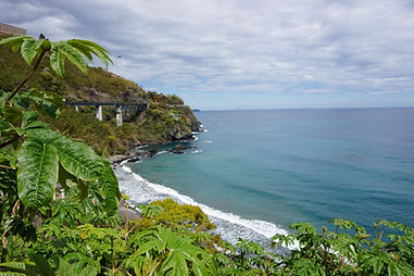 Chi Nei Tsang Training Retreat with Gilles Marin in Japan