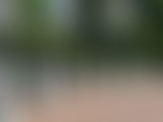 Top 5 Study Abroad Consultants in Jammu for 2025 – Your Pathway to Global Success