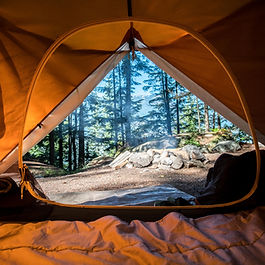 Lavender Farm Camping