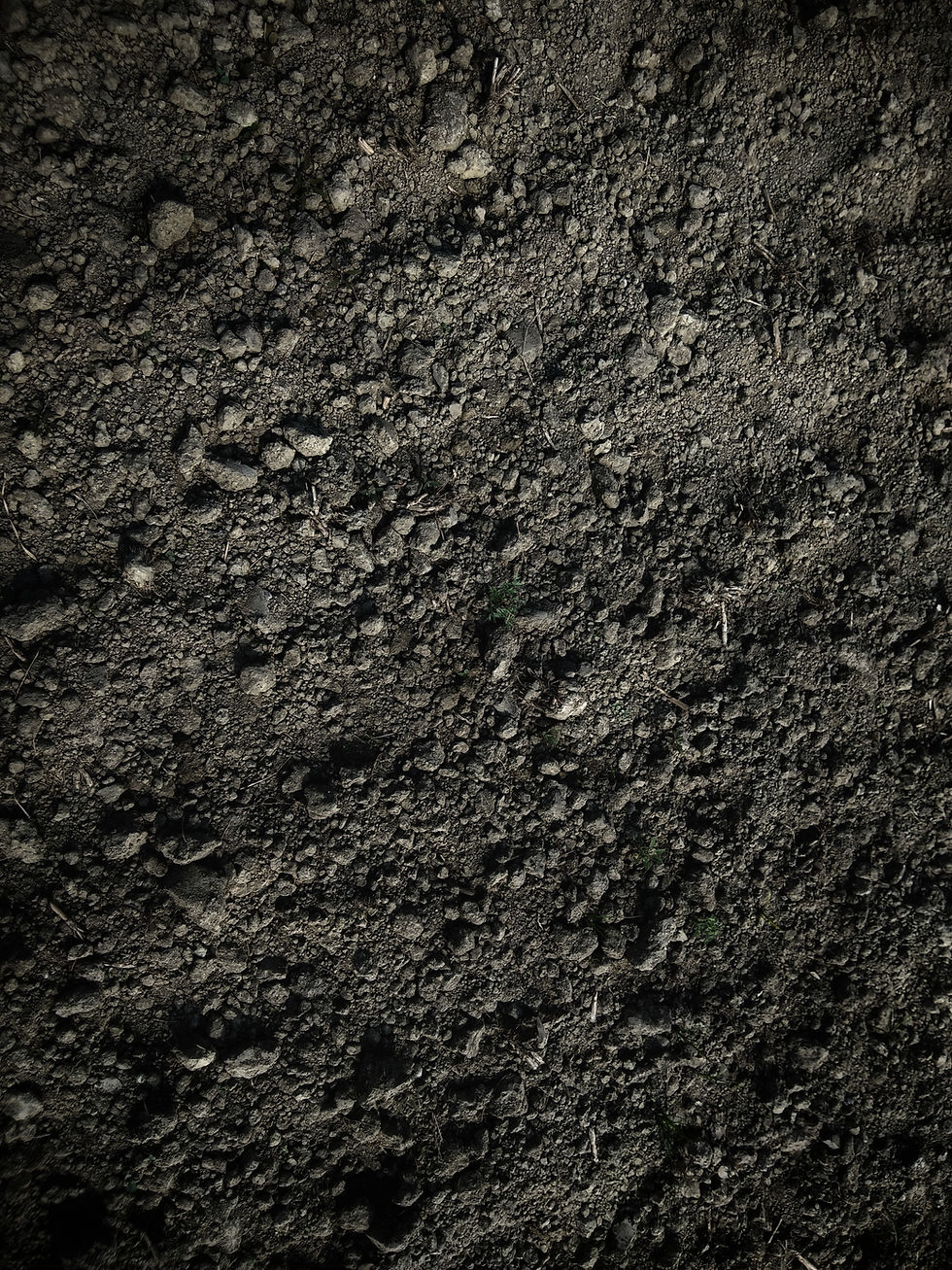 Image by Avinash Kumar